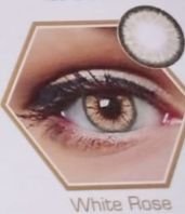 Elegant Opteano White Rose Range