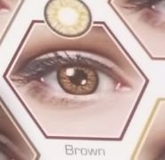 Modern Opteano Brown: Collection